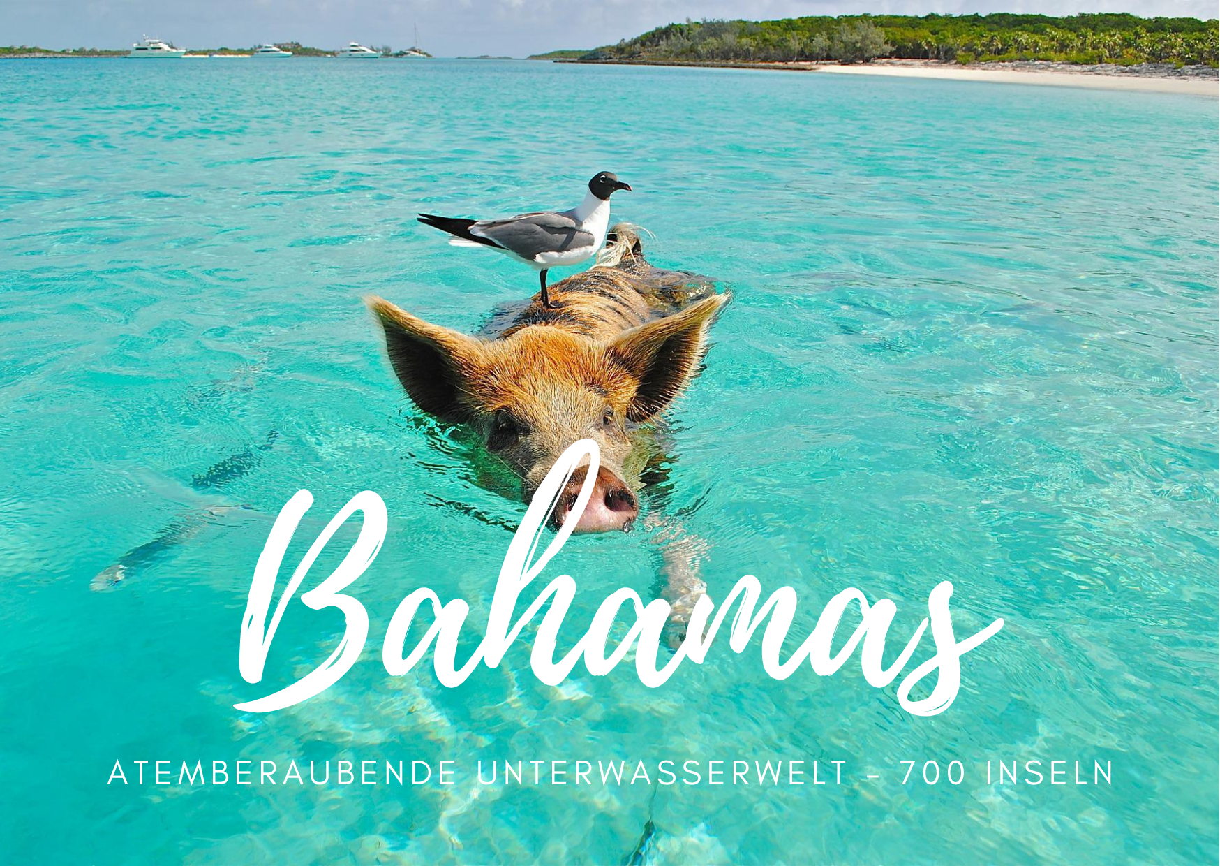 Bahamas 700 Inseln